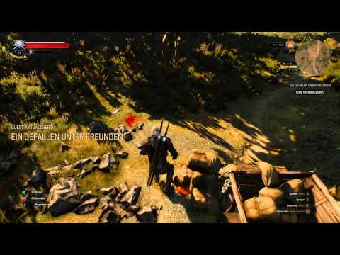 THE WITCHER 3   Wild Hunt   Gameplay German PC Deutsch   Part 63 (Ein Gefallen unter Freunden)
