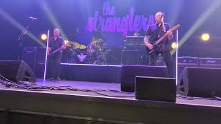 The Stranglers - Peaches (live @ The Forum, Melbourne, March 2025)