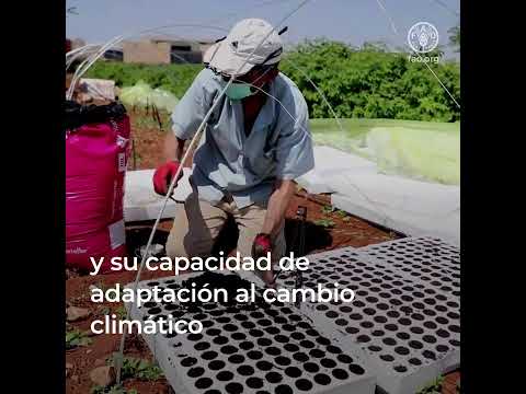 La acción climática y los derechos humanos, construir sistemas agroalimentarios sostenibles