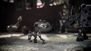video galería IMD