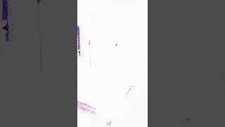 beautiful Chinese girls 241018002 #舞蹈 #美女 #Dance #yoga #tiktok #Bikini