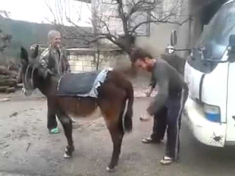 Eşek nasıl calışır(how to work donkey