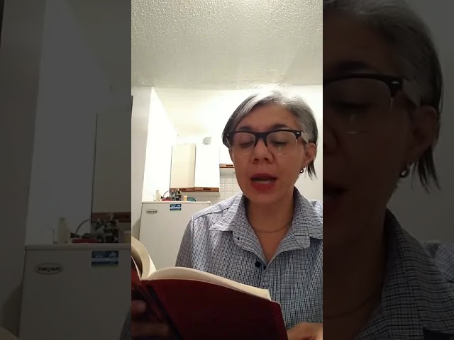 Vídeo relacionado con Los subterráneos