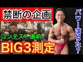 【トップパワーリフター】ボディビル前減量末期に何キロ挙がるか検証してみた