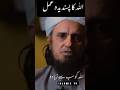 Allah Tala Ka Sabse Pasandida Amal⁦ ️⁩ Muftitariqmasood Shorts