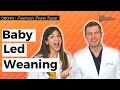 Pediatrician Explains Baby-Led Weaning: Benefits, Risks, and Getting Started