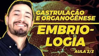 EMBRIOLOGIA | Gastrulação e organogênese - AULA 2/2