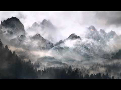 The Mirkwood Project