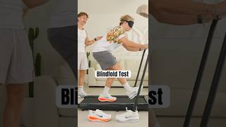 Nike Pegasus Premium vs Vomero PLUS