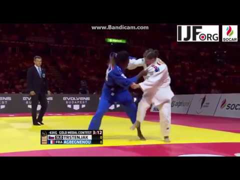 World Judo Championship 2017,Gold Medal fight -63kg, TRSTENJAK (SLO)-AGBEGNENOU (FRA)
