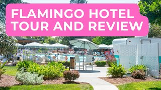 Flamingo Hotel Santa Rosa - DETAILED Tour and Review After My Stay