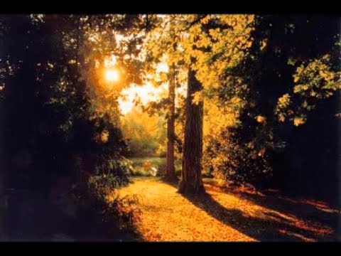 Haleliwia (Welsh Hallelujah)