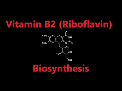 Vitamin B2 (riboflavin) Biosynthesis