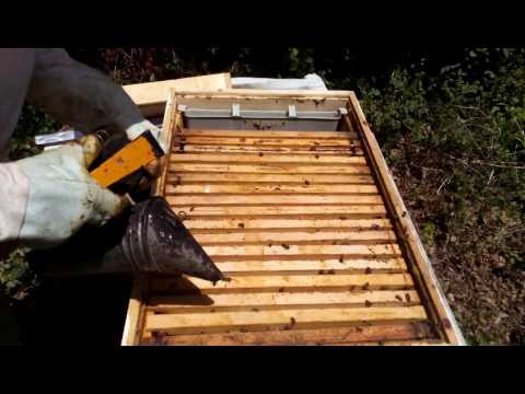 Поставяне на силиконова мрежа за добиване на прополис - 06.07.2017 г.