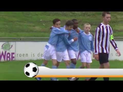 Samenvatting Hermes DVS D2 - Zwaluwen D4