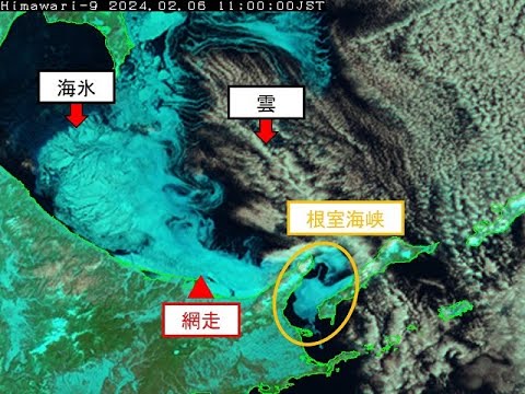 冬のベールをかぶる時期 冬 寒さ 湿った風が強い 木々の低木を傷つける