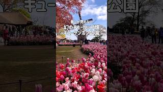【アムステルダム】春しか見れない幻のチューリップ畑🌷キューケンホフ #アムステルダム #オランダ #keukenhof #amsterdam #ドイツ生活 #ドイツ在住 #海外生活 #旅行vlog