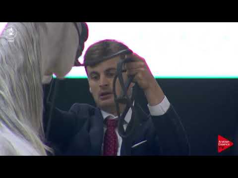 N.131 ZAHIDA EA - Lier 2018 - 4-5 Years Old Mares (Class 7)