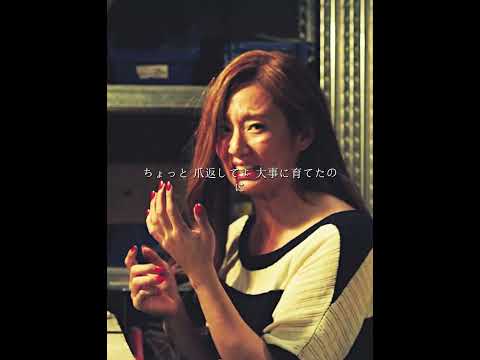 「殺すな」——日本最強の殺し屋に下された、たった一つのルール。😂🔪