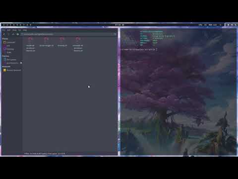 ArcoLinux : 2359 Get all the Leftwm themes in at once - run the script