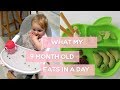 View 27 What Can Babies Eat At 9 Months