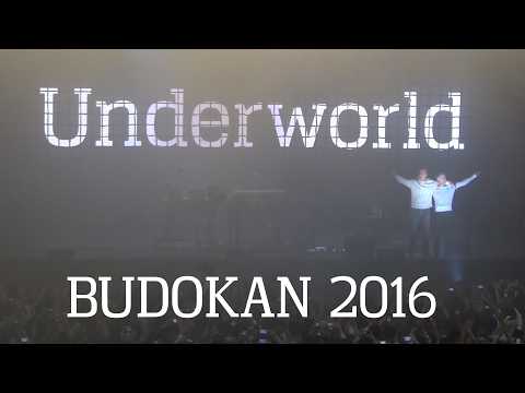 Live : Budokan 2016 のサムネイル
