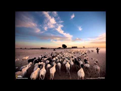 Dawork   Follow My Rules Rachel Vocal Mix