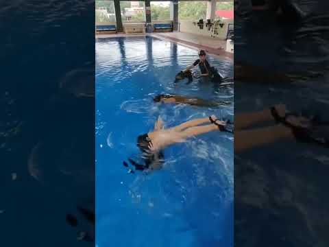 Yolla Yuliana pantes Bodynya bagus latihan renang begini !