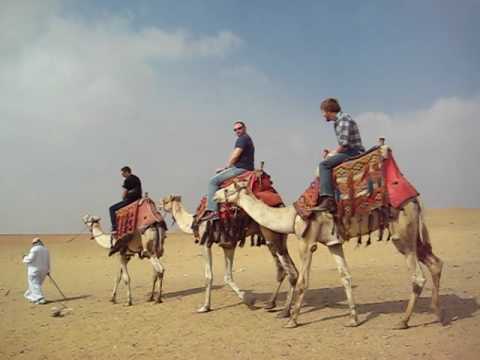 Camel Ride