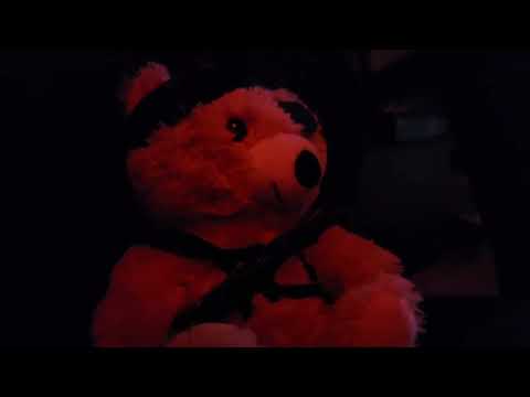 TEDDY WANTS TO BOOGIE