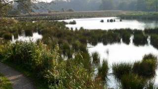 preview picture of video 'Der De Witt See im Herbst (Naturpark Schwalm-Nette)'