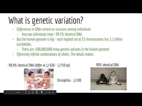 Applied Computational Genomics - 03- Genetic Variation