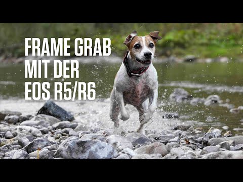 Canon Academy Hack: Frame-Grabbing: High-Res-Fotos aus 8K- und 4K-Videos