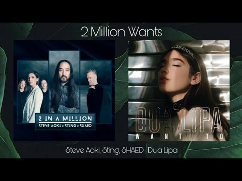 "2 Million Wants" (MASHUP) Steve Aoki, Sting, SHAED, and Dua Lipa