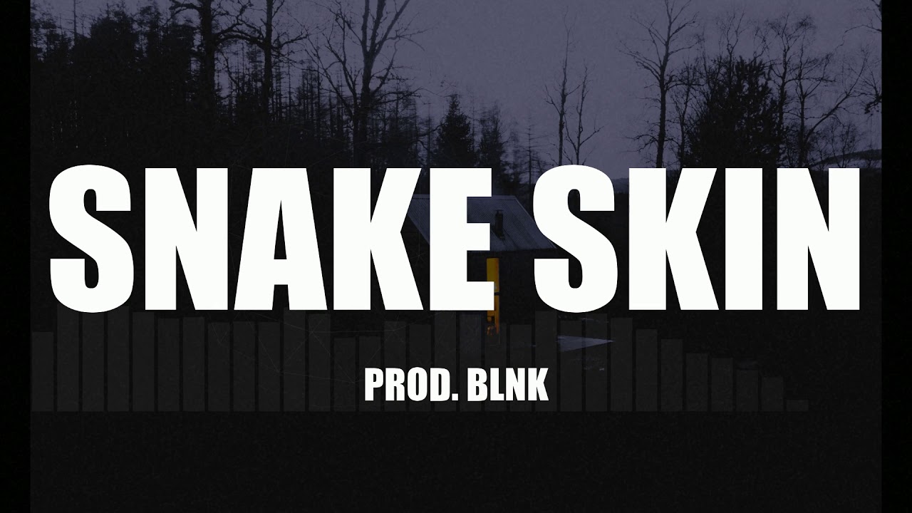 (FREE) Trippie Redd x Lil Baby Violin Type Beat | Sad Slow Guitar Rap Beat | Snake Skin | Prod. BLNK