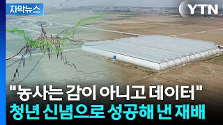 [자막뉴스]  AI프로그램으로 일 냈다...비용은 줄이고 수확은 늘리고 / YTN