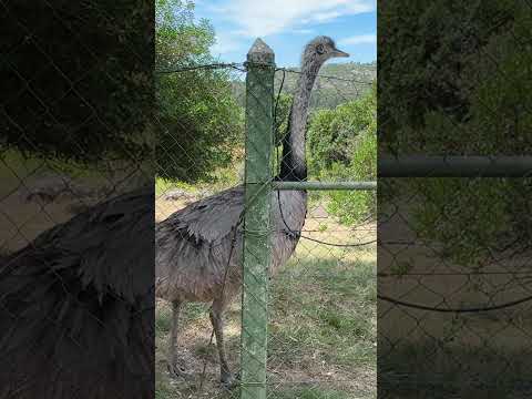 SABÍAS que existe este lugar en URUGUAY🇺🇾
