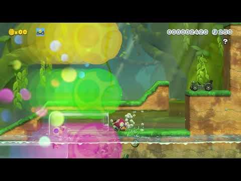 The ultimate koopa car level