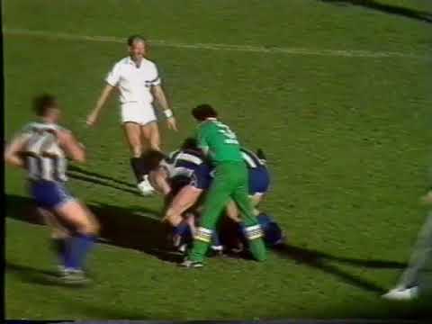 1989 Round 8 brief highlights Footscray Vs Fitzroy, St Kilda Vs Nth Melbourne, Essendon Vs Richmond
