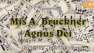 Agnus Dei, Mis in C, Anton Bruckner, 184