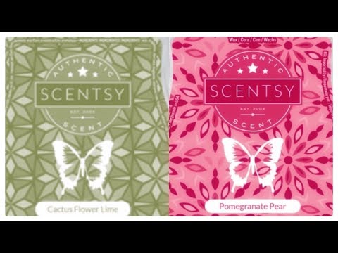 Tester Tuesday #33 Cactus Flower Lime & Pomegranate Pear (Scentsy)