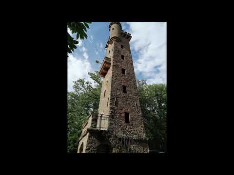 Klingenberg, - Blick auf den  Main und Klingenberg von den Weinbergen.