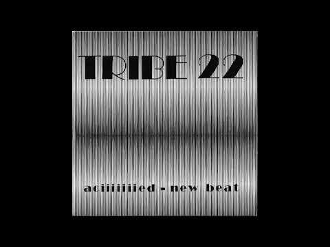 Tribe 22 – Instrumentacied - New Beat [CD Rip]