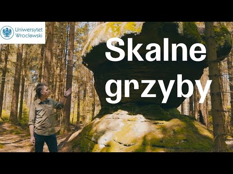 Góry Stołowe – Skalne Grzyby w Batorowie