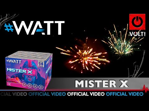 Mister X - 2551 | CAT F2 | Official video