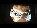 Samurai Jack The Complete Season 2 DVD Trailer 2005