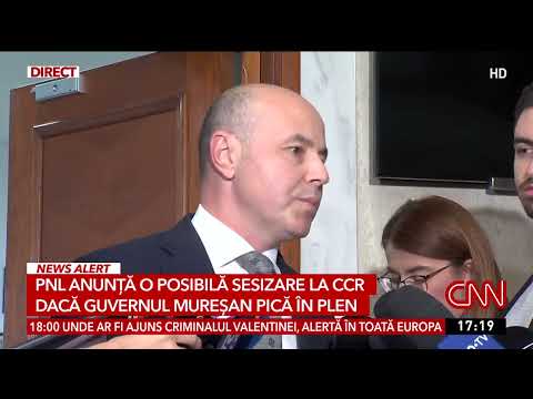 PNL to refer Nicușor Dan to the Constitutional Court if he fails ...