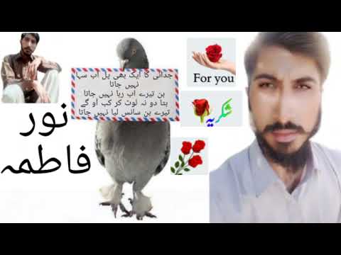 Chithi Le Ke Kabootara Ja  Best - Superhit Song  HD video