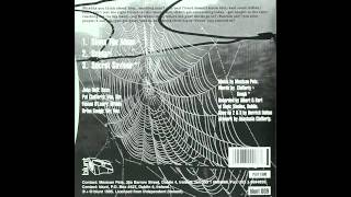 Mexican Pets: Secret Saviour