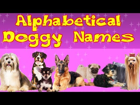 Alphabetical Doggy Names | Top 10 Dog Breeds  | Kid2teentv Video